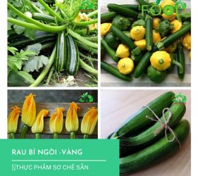 Rau và Quả Bí ngòi giàu dinh dưỡng 