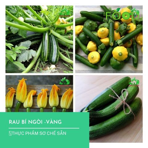 Rau và Quả Bí ngòi giàu dinh dưỡng 
